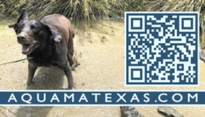 Carlson Pet memorial SOK Defense Spray Discount Code  Carlson Pet memorial SOK Defense Spray Discount Code